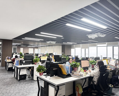 Trung Quốc SONSILL HOLDING hồ sơ công ty