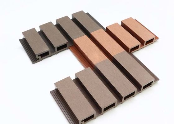Tấm tường WPC ngoại thất 219x26mm Tấm tường WPC Co đùn 2900x216mm