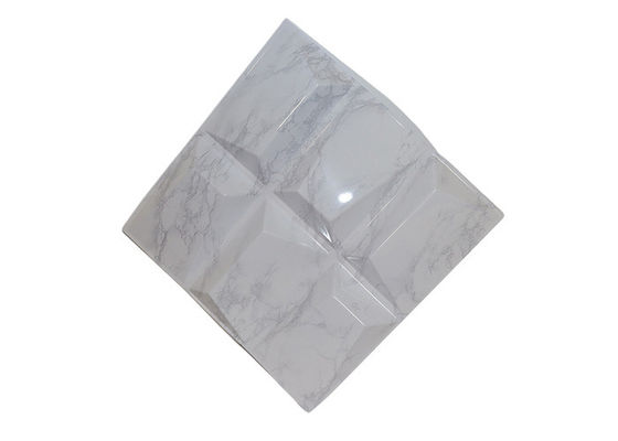 Tấm tường PVC 3D phong phú về nghệ thuật hiện đại chống cháy để trang trí trong nhà
